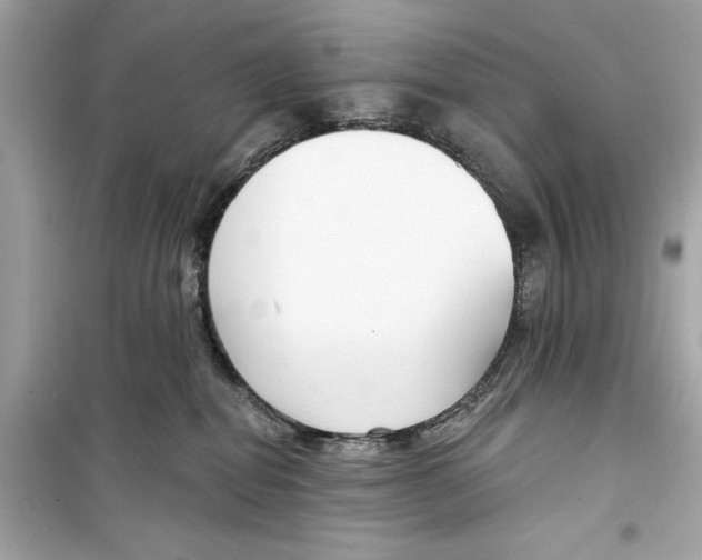 X0000098210282200805221634