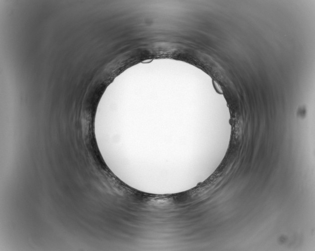 X0000098210283200805221634