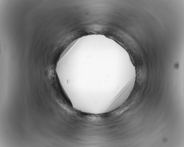 X0000098210284200805221634