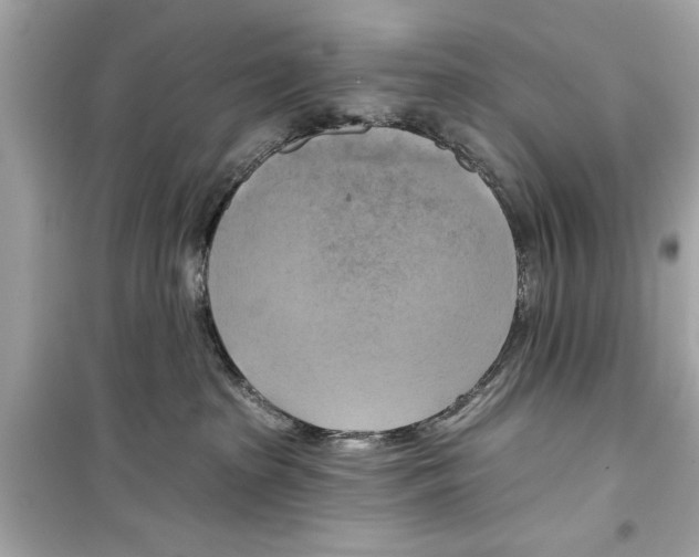 X0000098210285200805221634