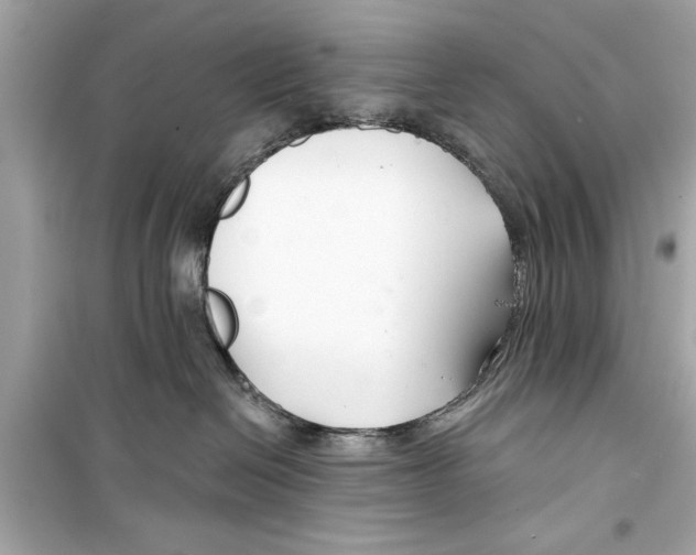 X0000098210286200805221634