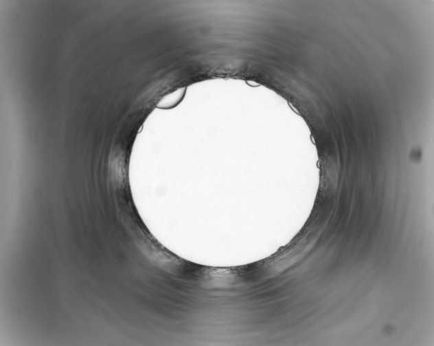 X0000098210287200805221634