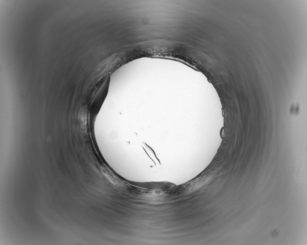 X0000098210288200805221634