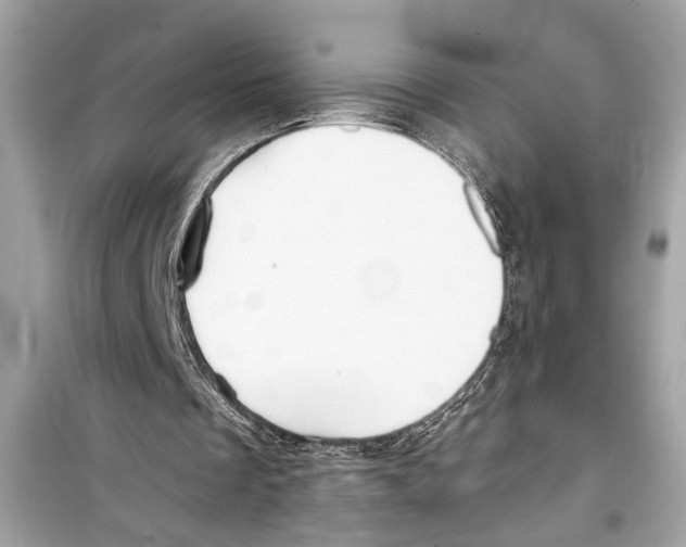X0000098210289200805221633