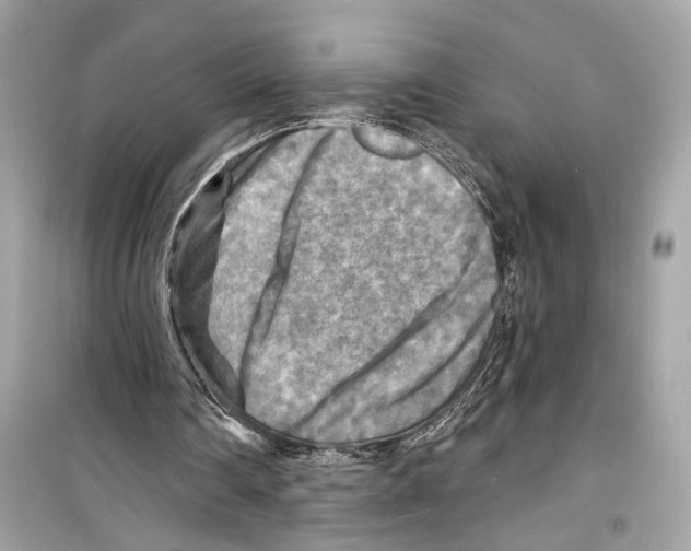 X0000098210290200805221633