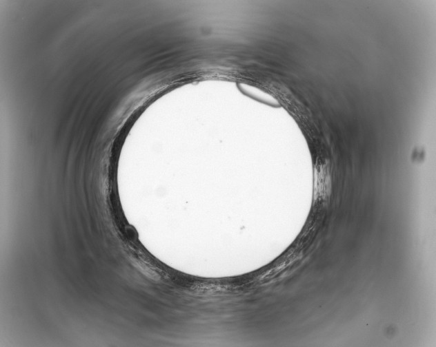 X0000098210291200805221633