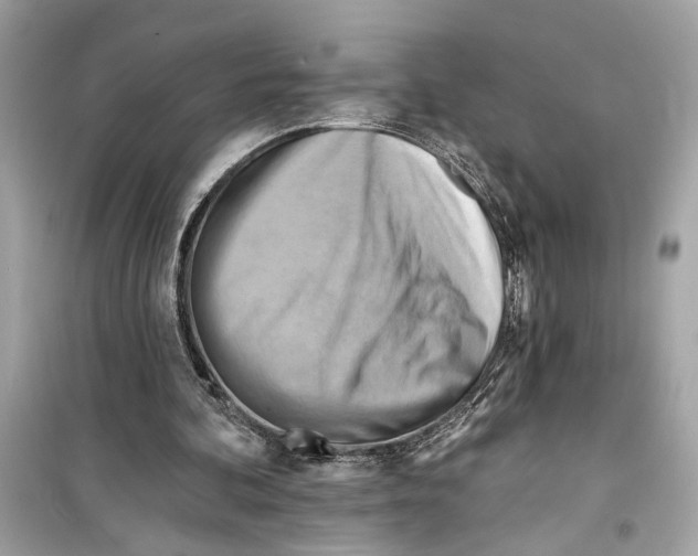 X0000098210292200805221633