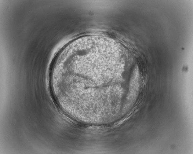 X0000098210294200805221633