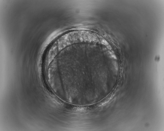 X0000098210295200805221633