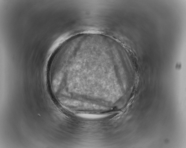 X0000098210296200805221633