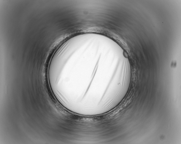 X0000098210298200805221633