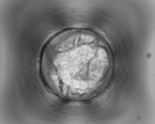 X0000098210299200805221633