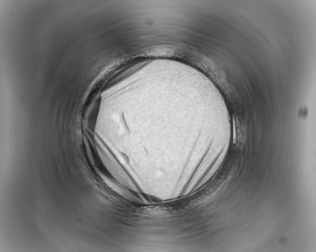 X0000098210300200805221633