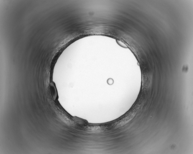 X0000098210301200805221633