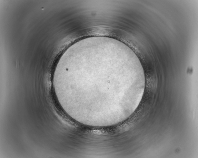 X0000098210302200805221633