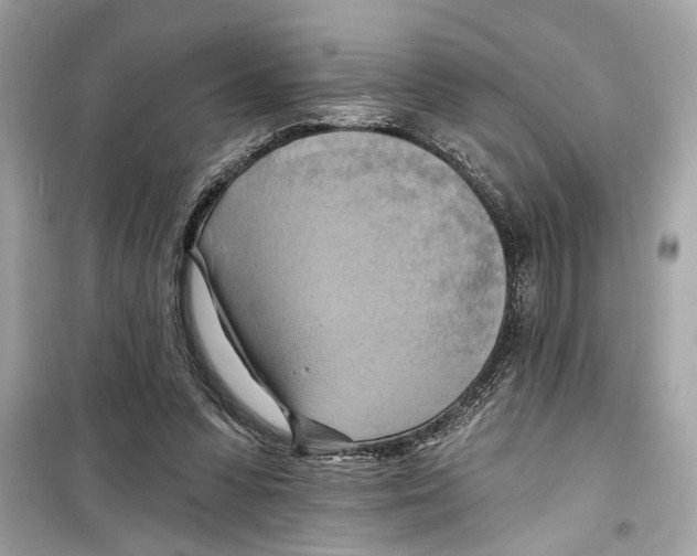X0000098210303200805221633