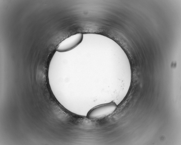 X0000098210305200805221633