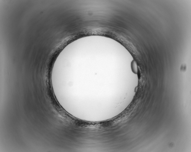 X0000098210306200805221633
