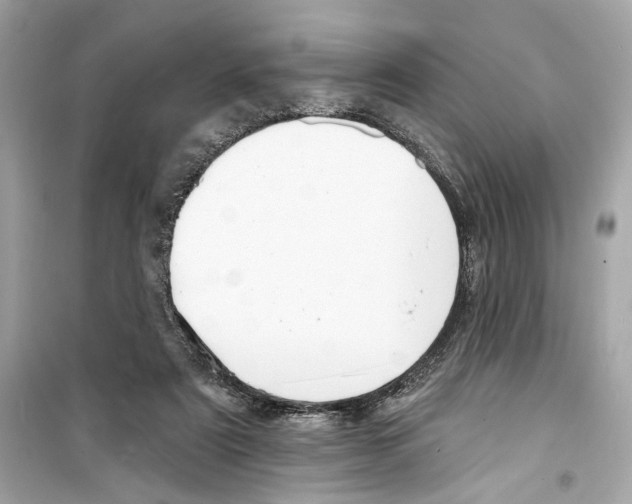 X0000098210307200805221633
