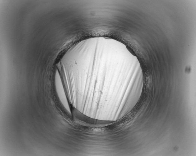 X0000098210308200805221633