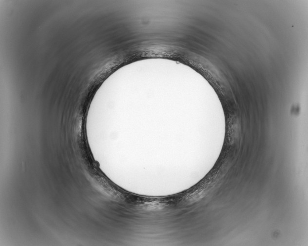X0000098210310200805221633