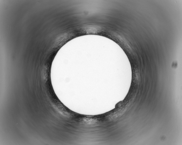 X0000098210311200805221633