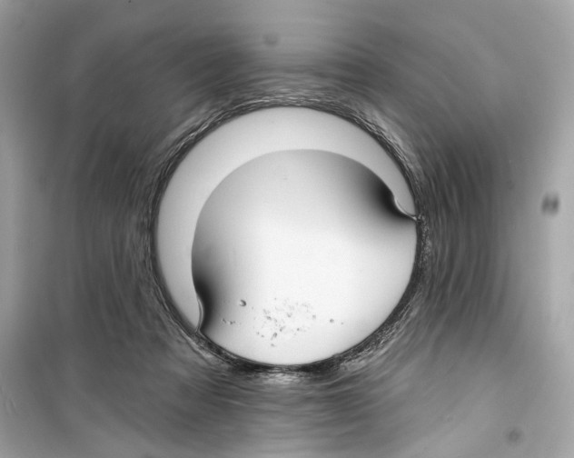 X0000098210313200805221633