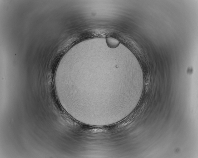 X0000098210314200805221633