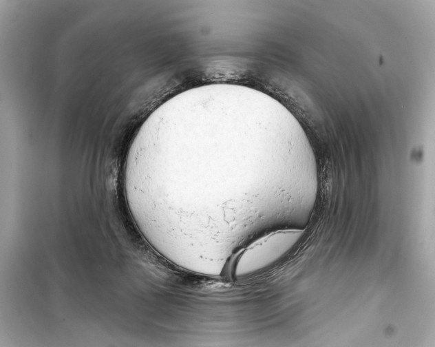 X0000098210315200805221633