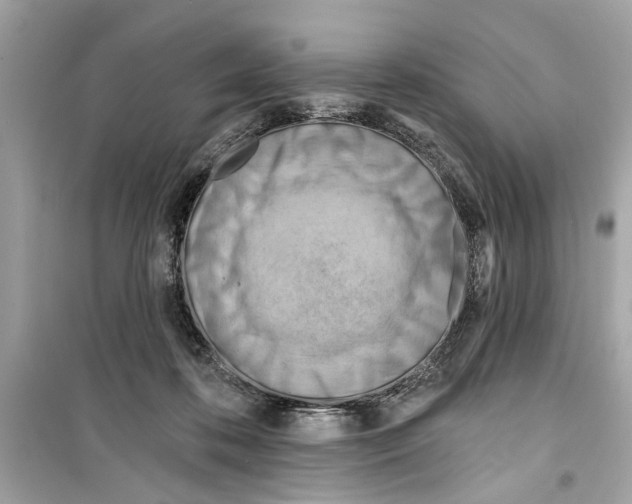 X0000098210316200805221633
