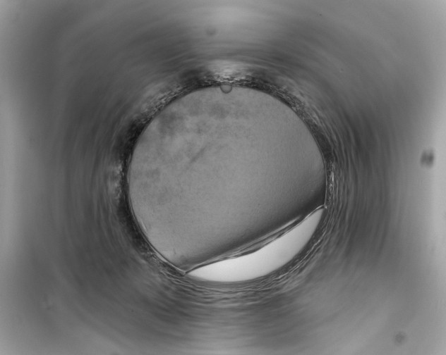 X0000098210319200805221633