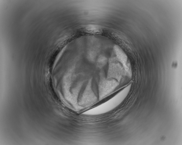 X0000098210320200805221633