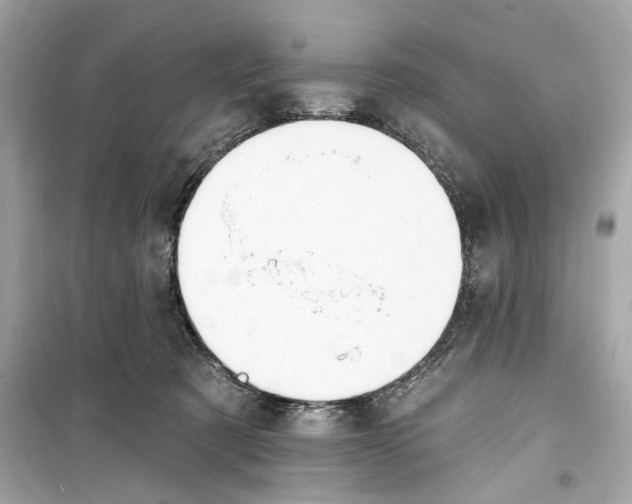 X0000098210321200805221633