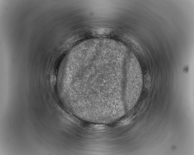 X0000098210324200805221633