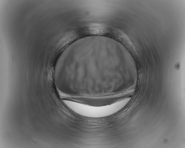 X0000098210325200805221633