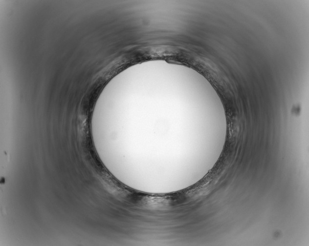 X0000098210327200805221633