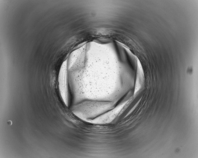 X0000098210328200805221633