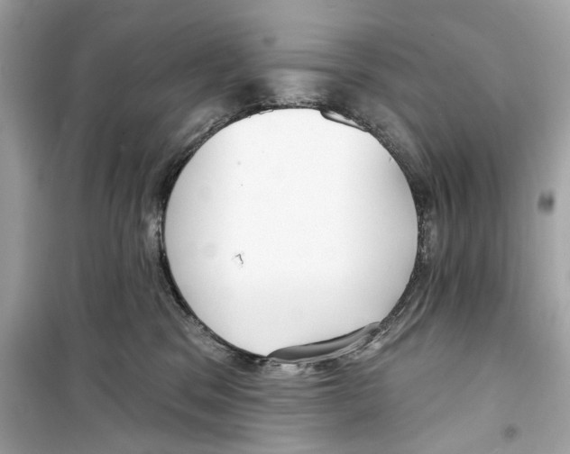 X0000098210329200805221633