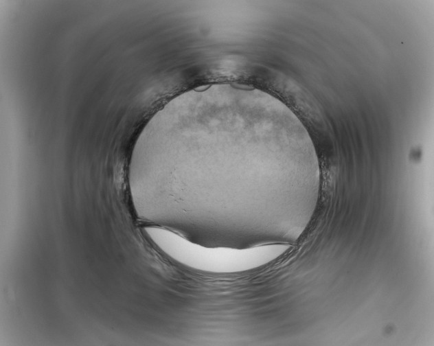 X0000098210331200805221632