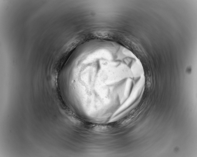X0000098210332200805221632