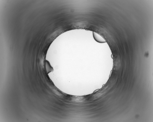 X0000098210334200805221632