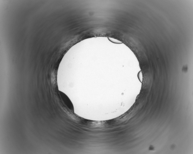 X0000098210335200805221632