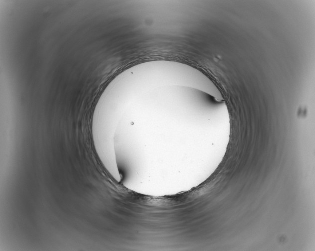 X0000098210336200805221632