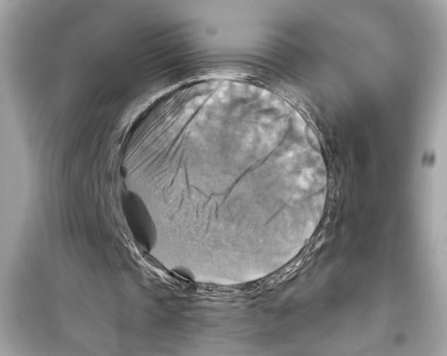 X0000098210337200805221632