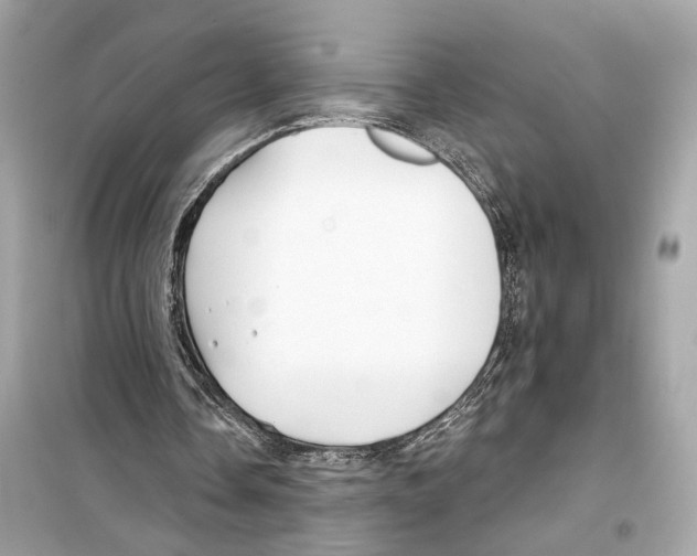 X0000098210338200805221632