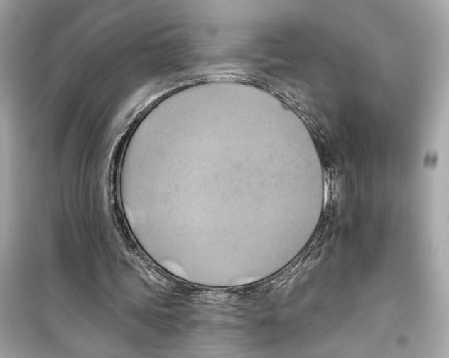 X0000098210339200805221632