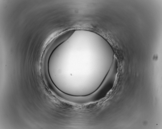 X0000098210340200805221632