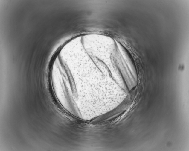 X0000098210342200805221632