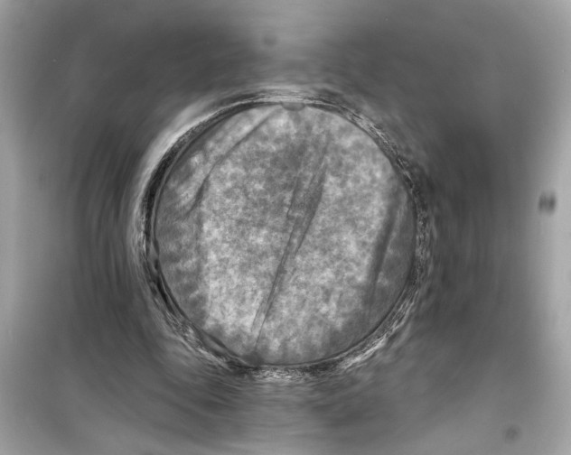 X0000098210343200805221632