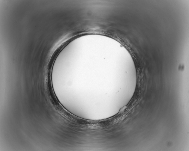 X0000098210344200805221632